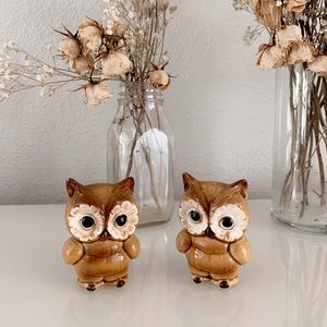 Vintage Owl S&P Shakers